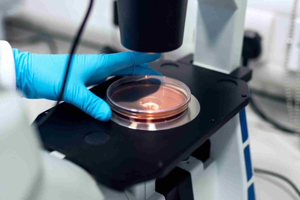 Cell and Gene Industry | How Has it Changed and Future Trends