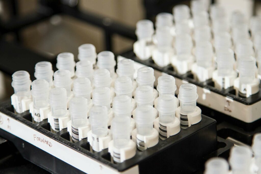 Understanding the Common Technical Document (CTD)