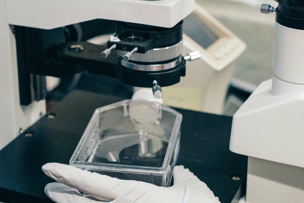 Understanding RNA Therapeutics