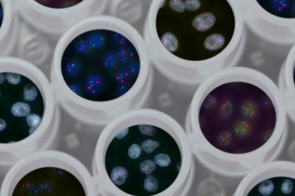 Navigating CMC Challenges for Biotech Startups